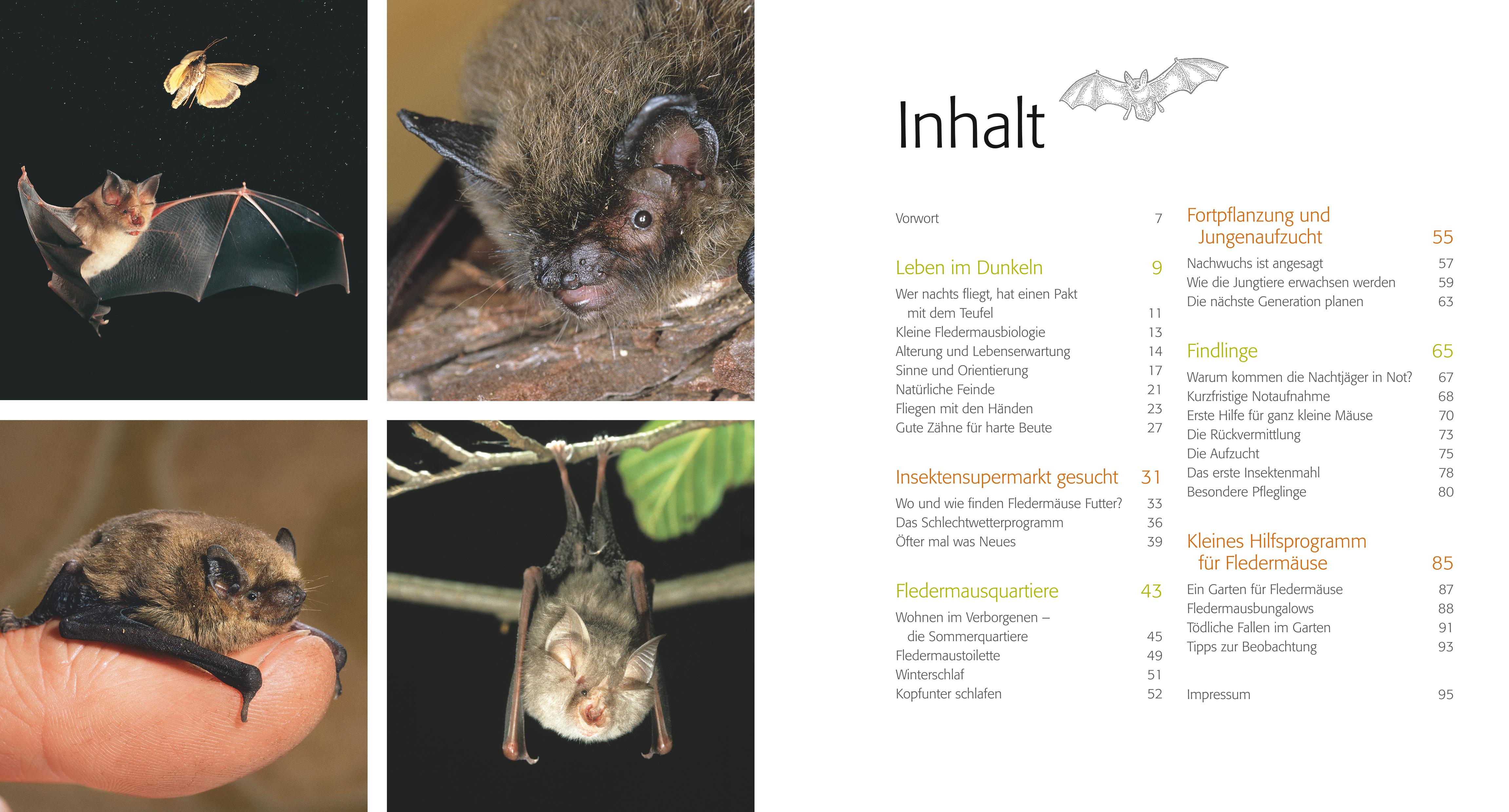 9783835419032_innenansicht_01 9783835419032_innenansicht_01.jpg