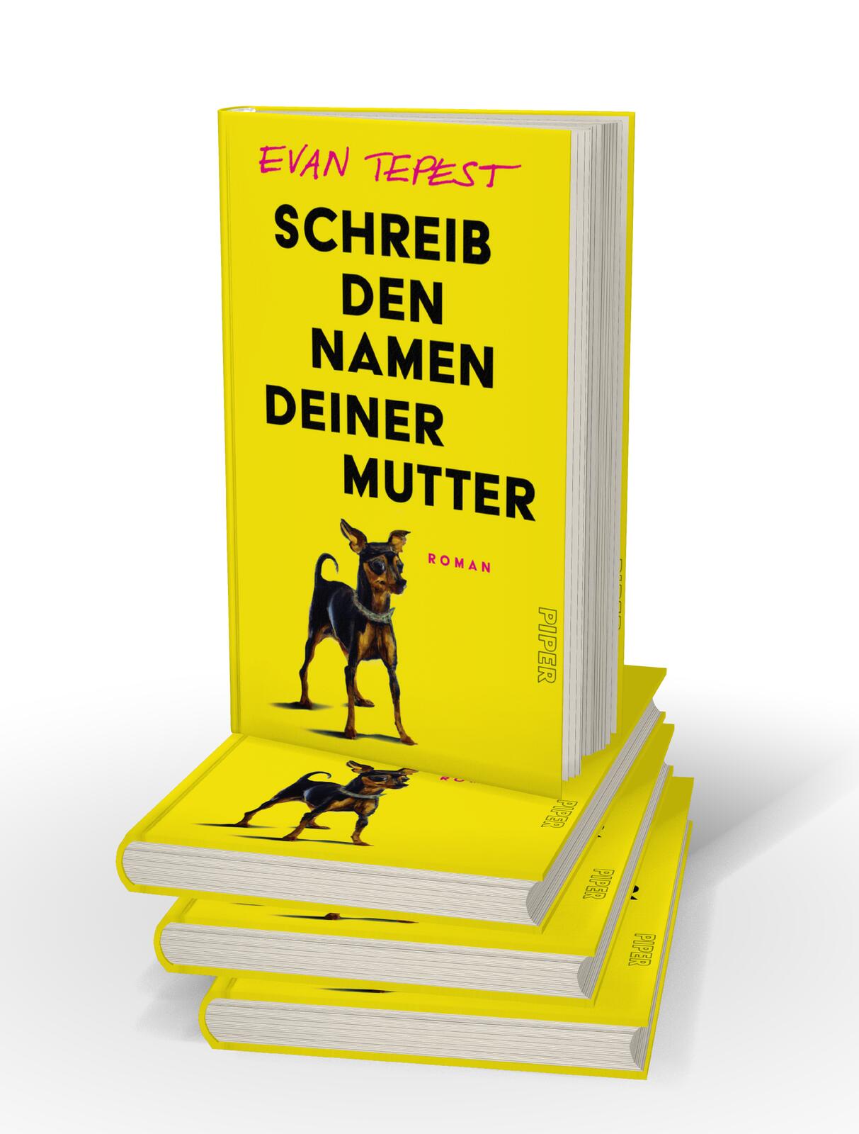 9783492072717_weiterecover_02 9783492072717_weiterecover_02.jpg