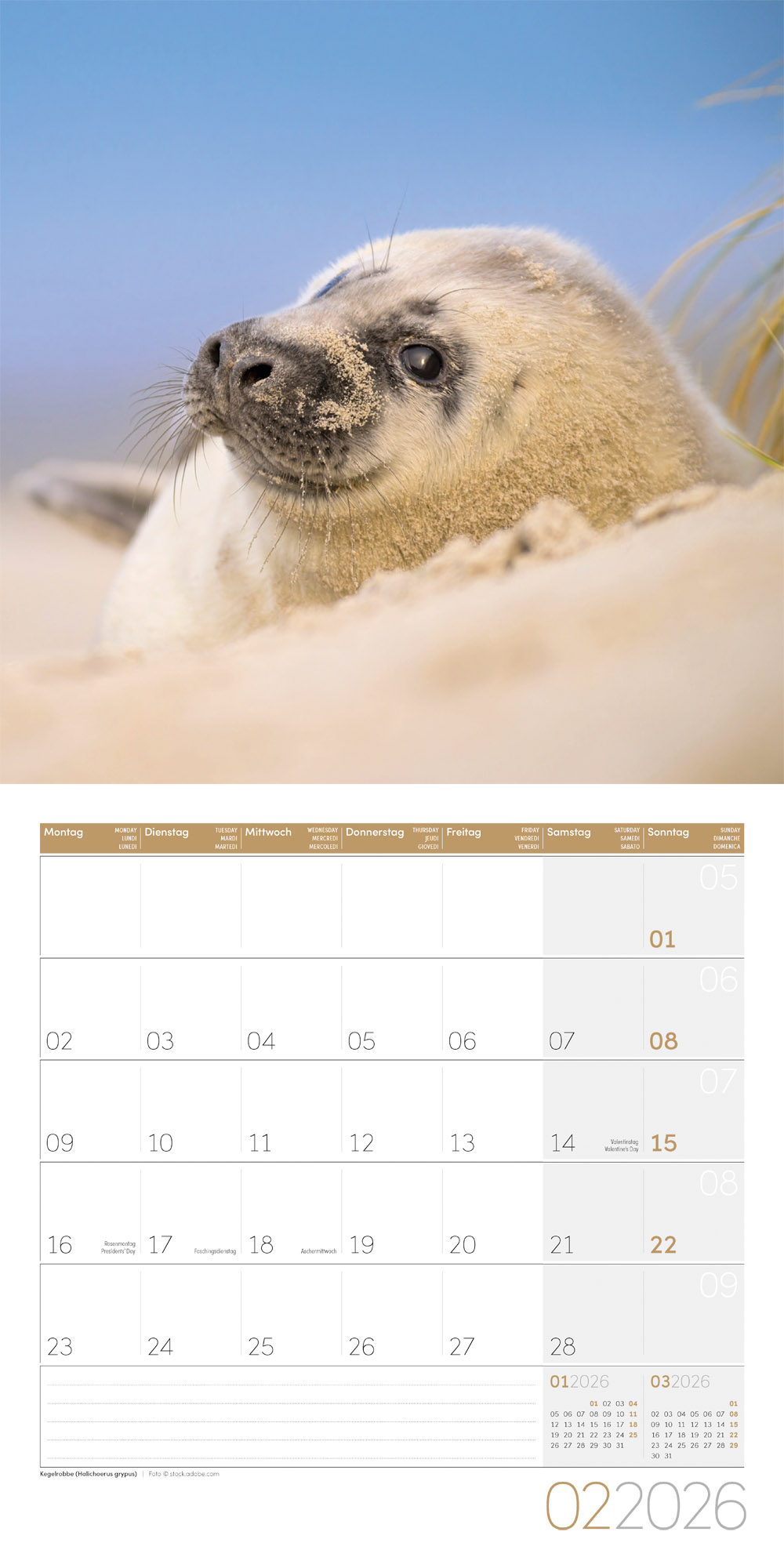 9783838446264_innenansicht_02 9783838446264_innenansicht_02.jpg