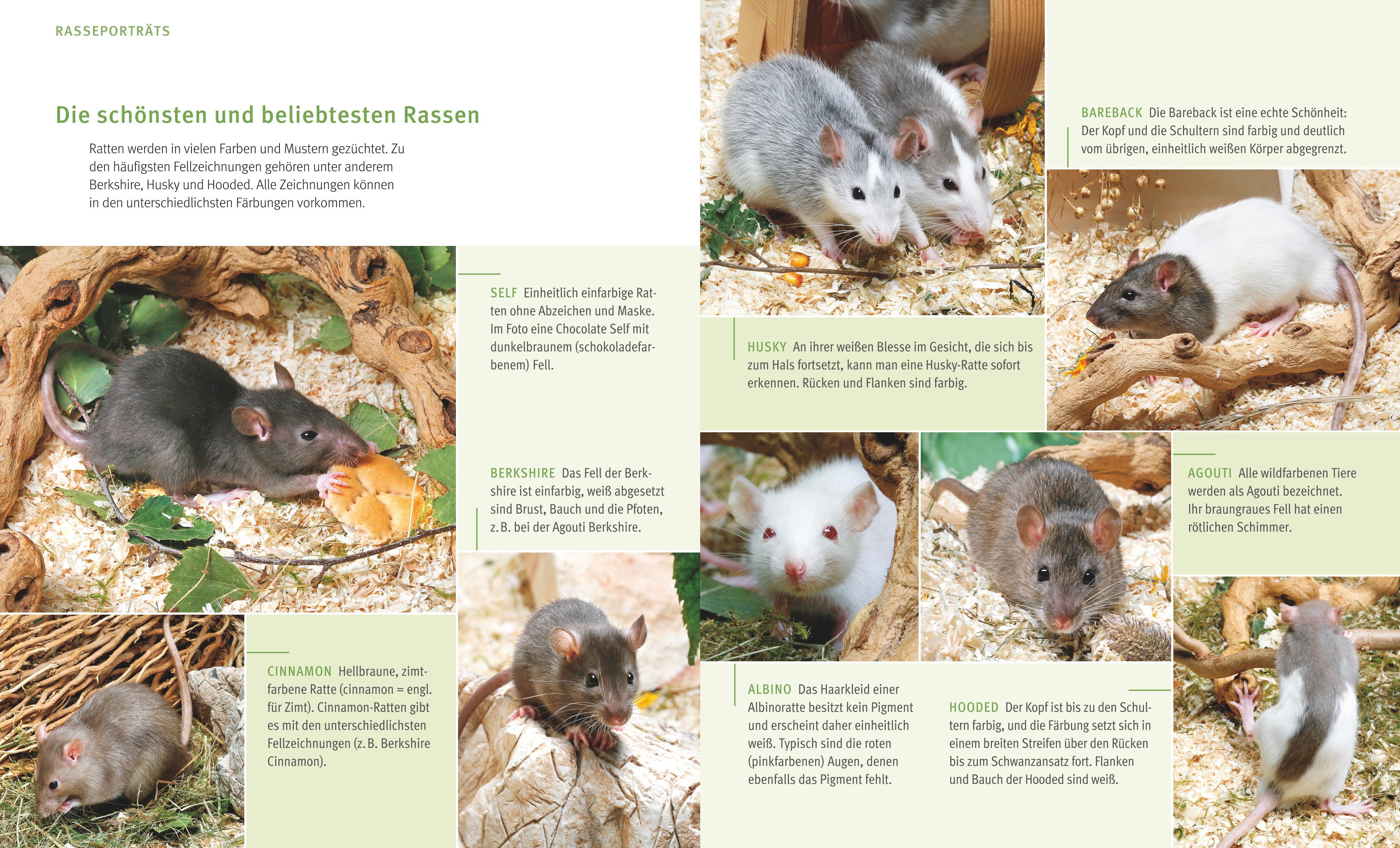 9783833855078_innenansicht_02 9783833855078_innenansicht_02.jpg