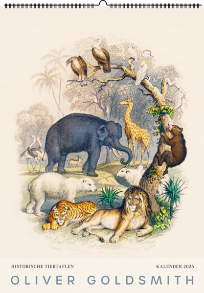 9783968491905 9783968491905