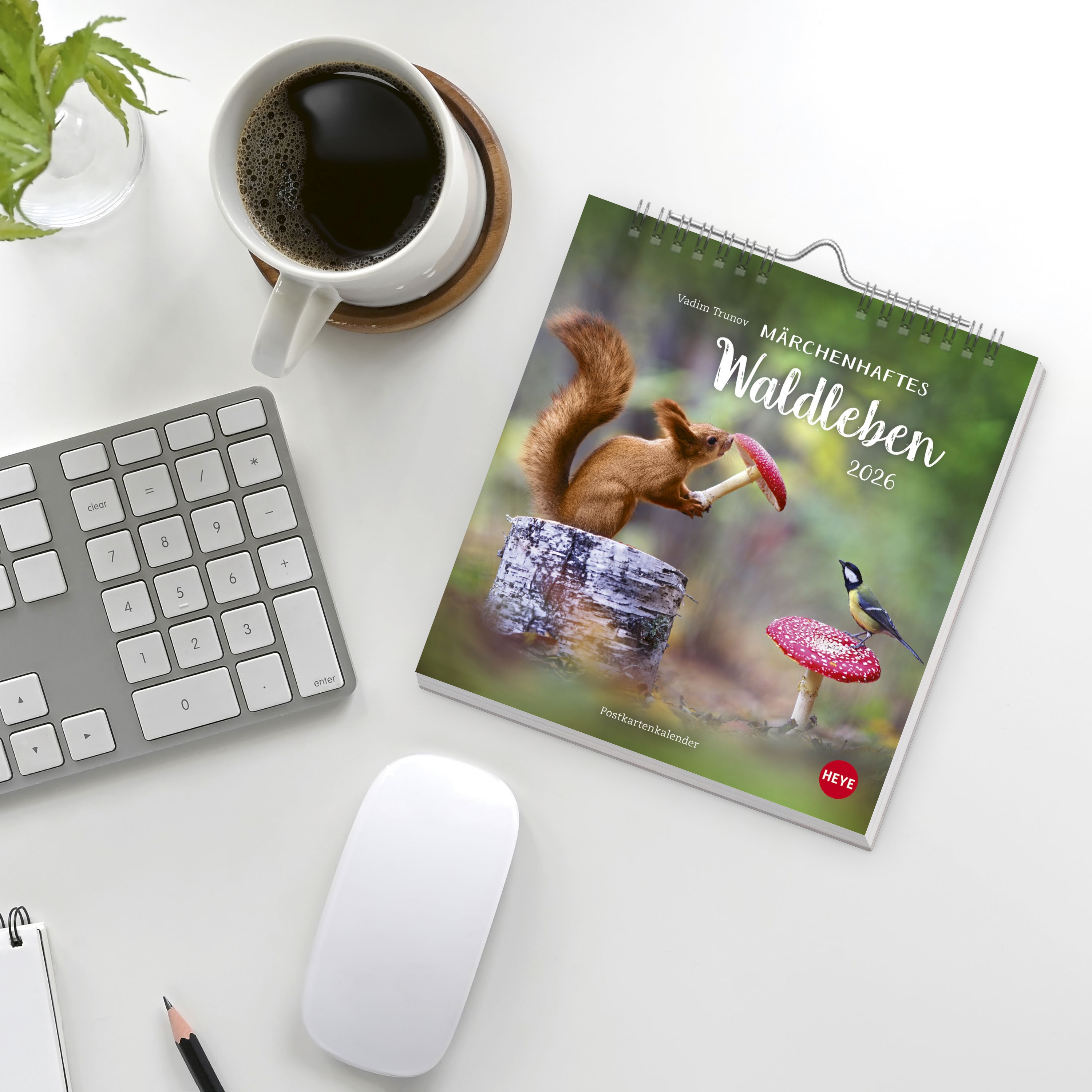 9783756411689_weiterecover_01 9783756411689_weiterecover_01.jpg