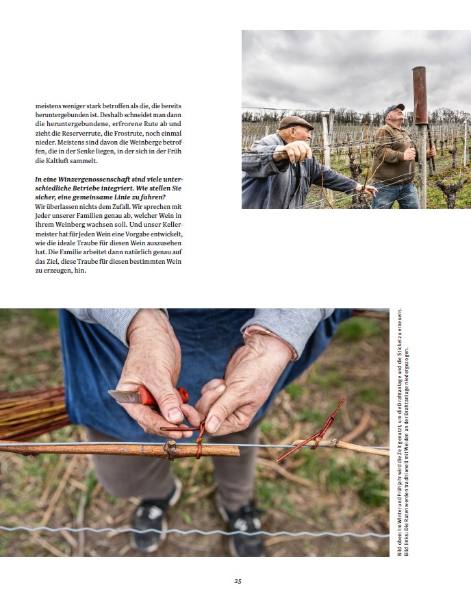 9783869139920_innenansicht_08 9783869139920_innenansicht_08.jpg