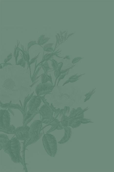 9783458359227_innenansicht_02 9783458359227_innenansicht_02.jpg