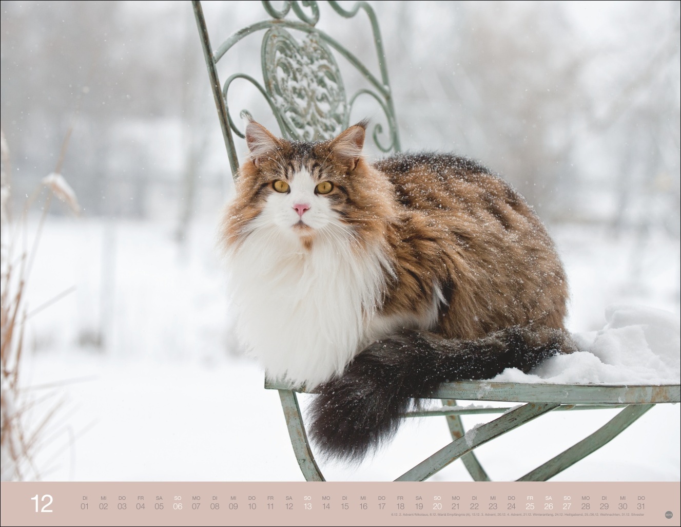 9783756411757_innenansicht_12 9783756411757_innenansicht_12.jpg