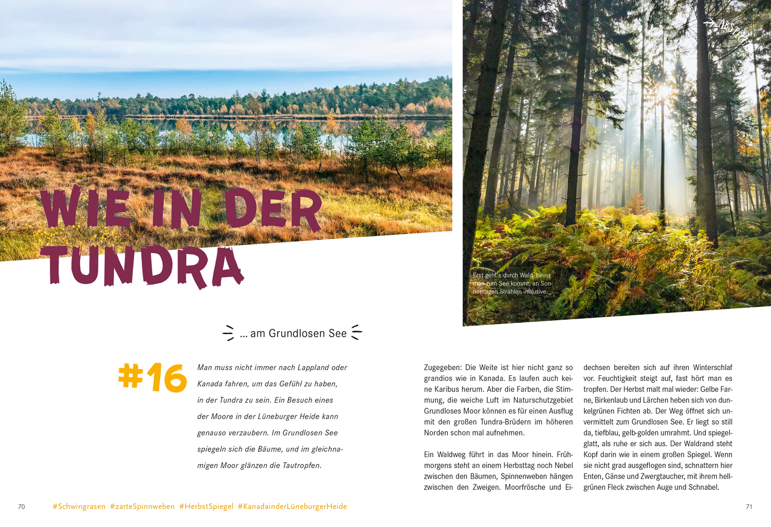 9783770180936_innenansicht_05 9783770180936_innenansicht_05.jpg