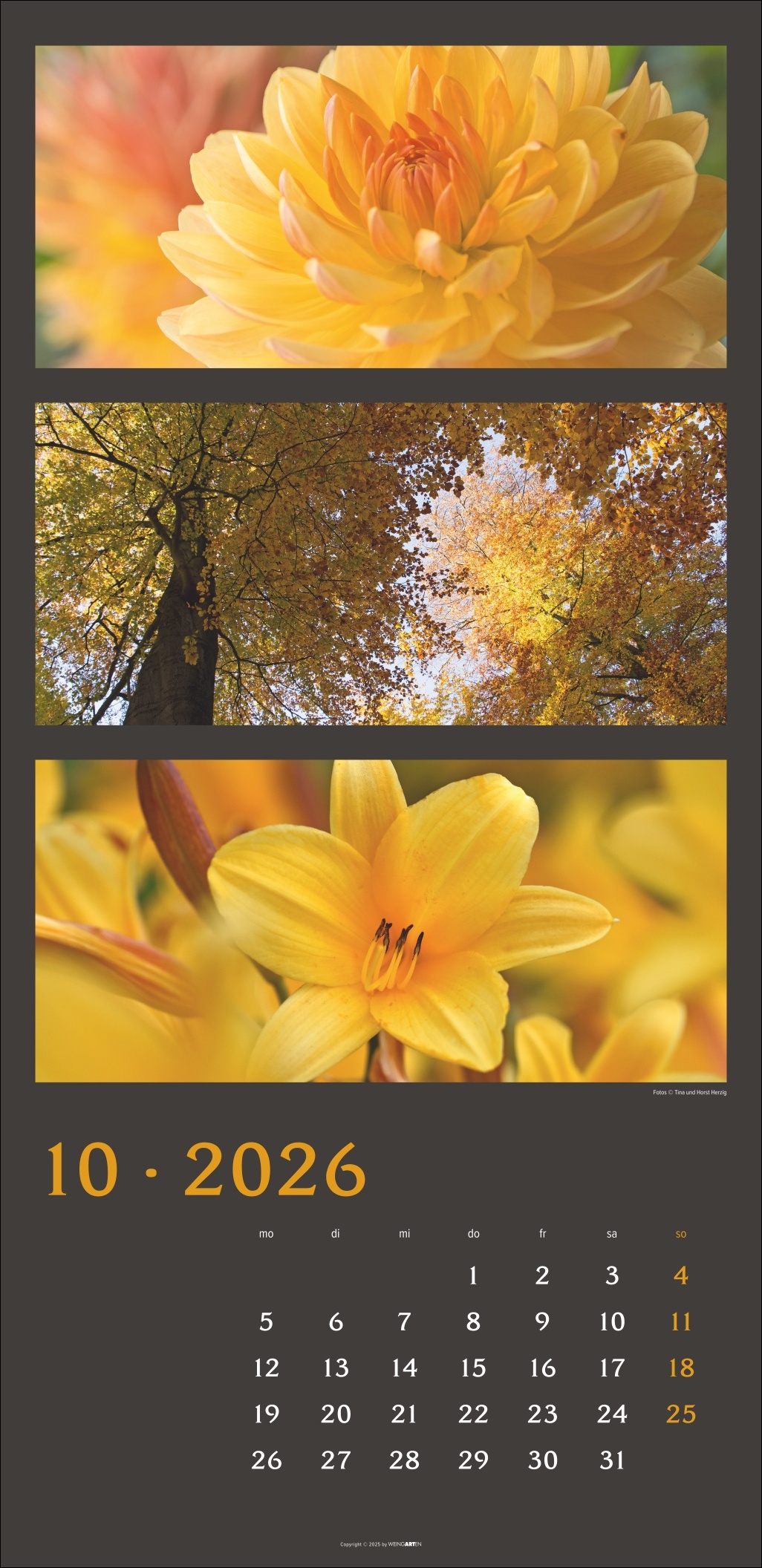 9783839902226_innenansicht_10.jpg