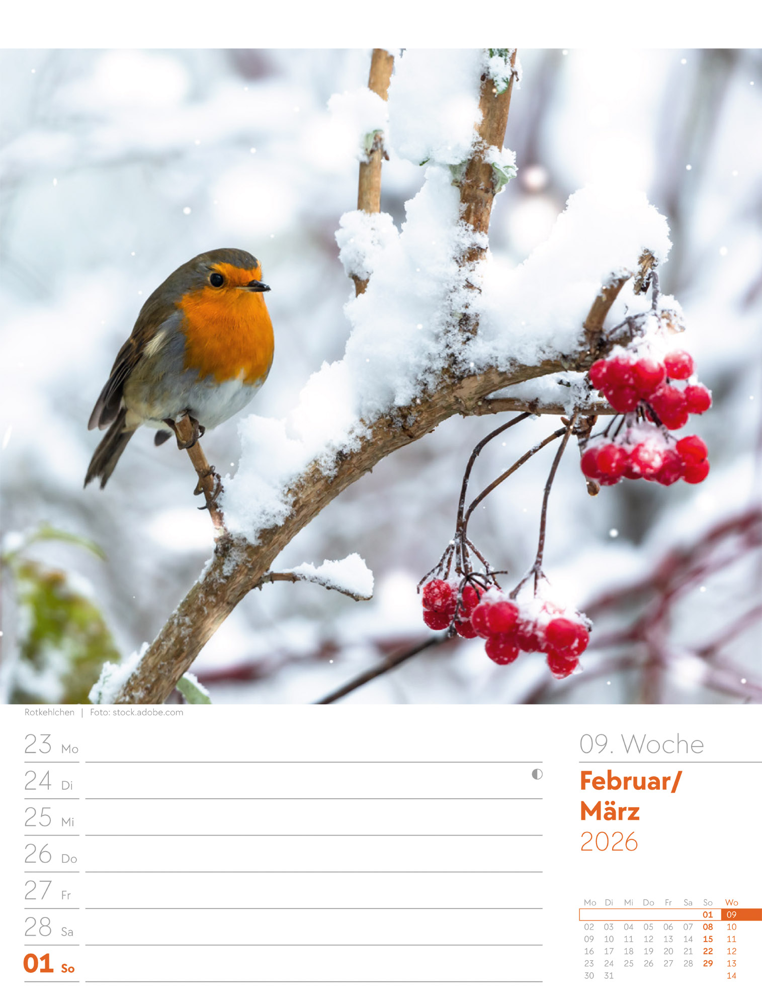 9783838426976_innenansicht_12 9783838426976_innenansicht_12.jpg