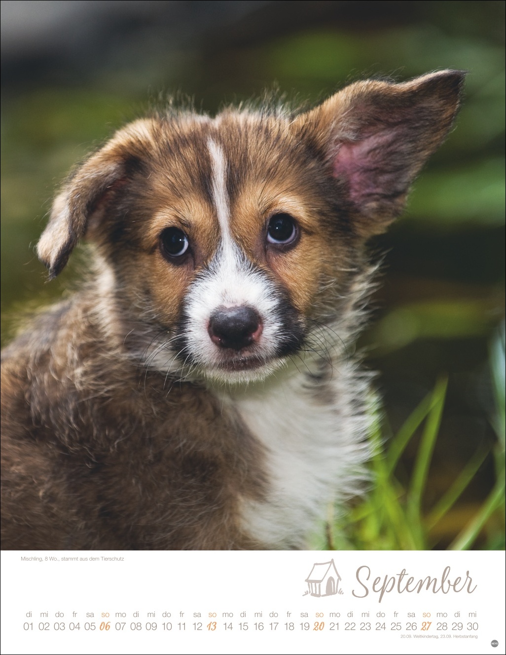 9783756410811_innenansicht_09 9783756410811_innenansicht_09.jpg