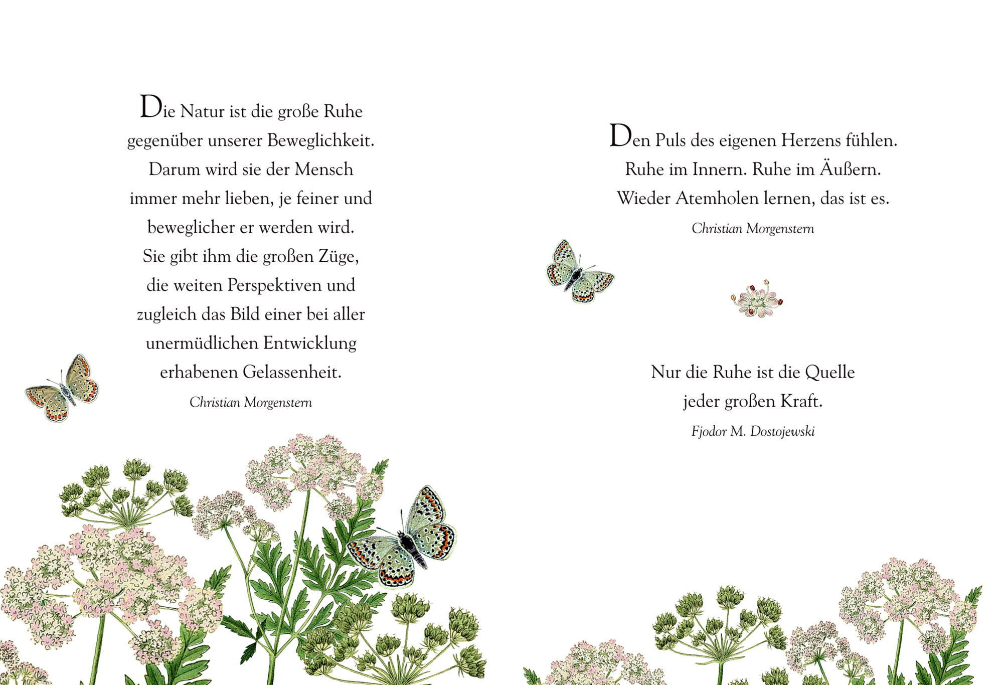 9783649648918_innenansicht_11 9783649648918_innenansicht_11.jpg