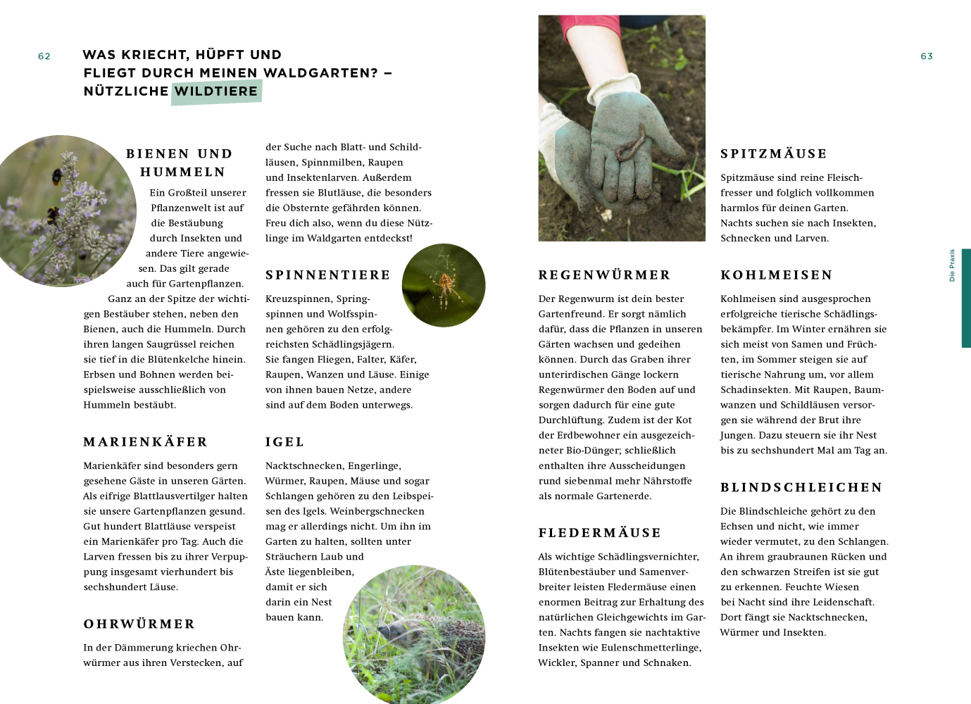 9783957286956_innenansicht_04 9783957286956_innenansicht_04.jpg