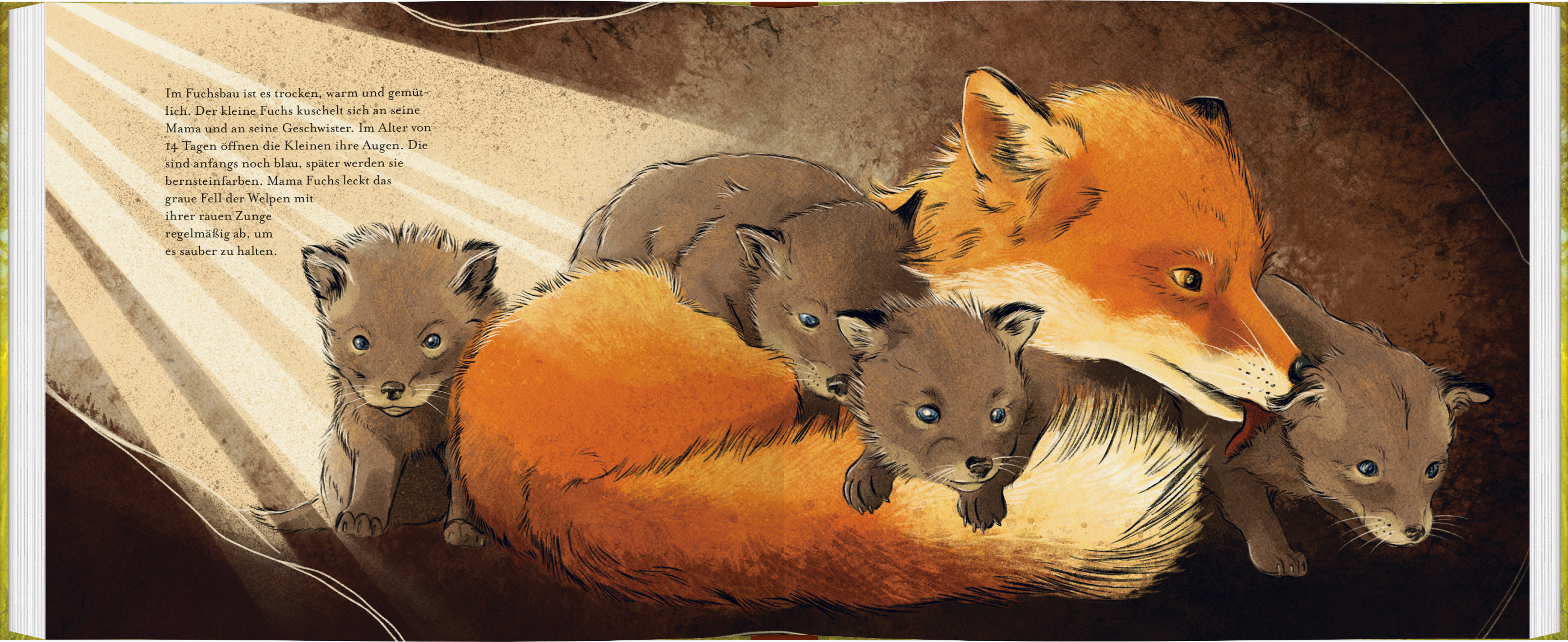 9783836963572_innenansicht_01 9783836963572_innenansicht_01.jpg