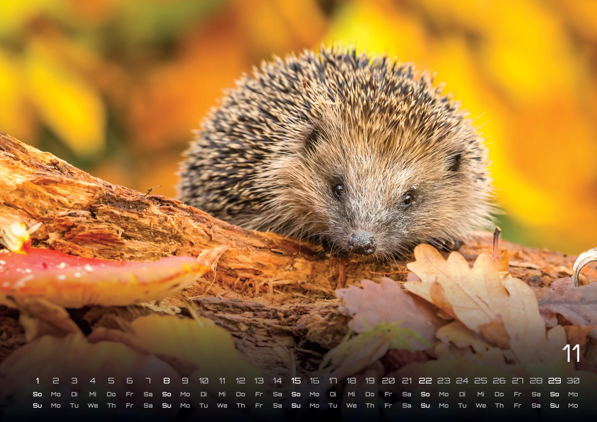 9783986736033_innenansicht_11 9783986736033_innenansicht_11.jpg