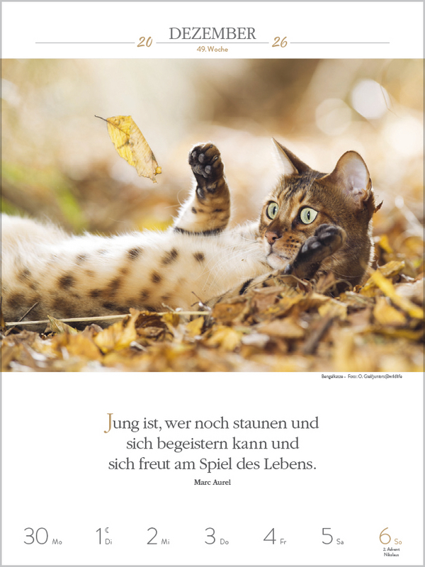 9783731884354_innenansicht_11.jpg