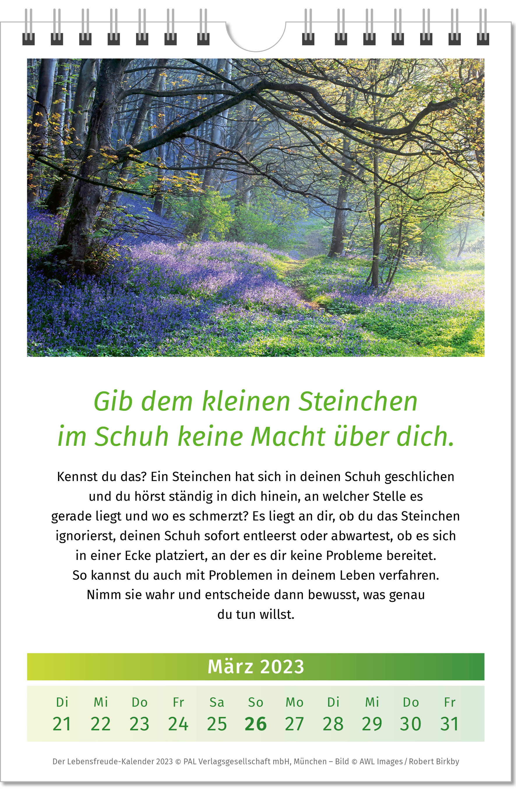 9783923614028_innenansicht_03.jpg