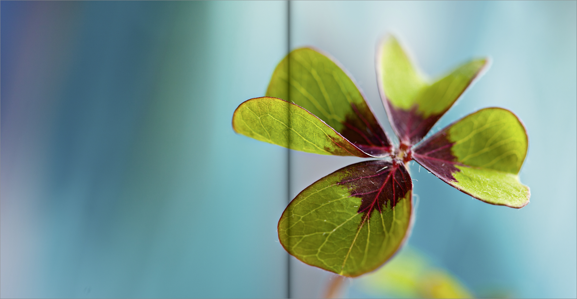 9783963401282_innenansicht_07 9783963401282_innenansicht_07.png