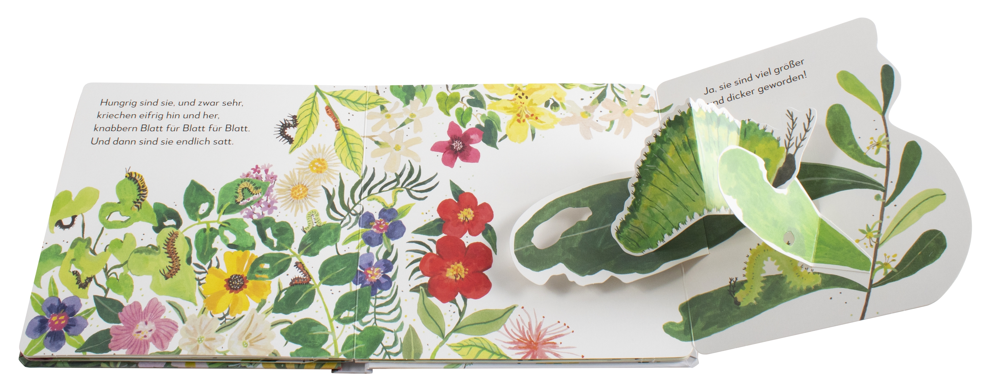 9783831046621_innenansicht_02 9783831046621_innenansicht_02.jpg