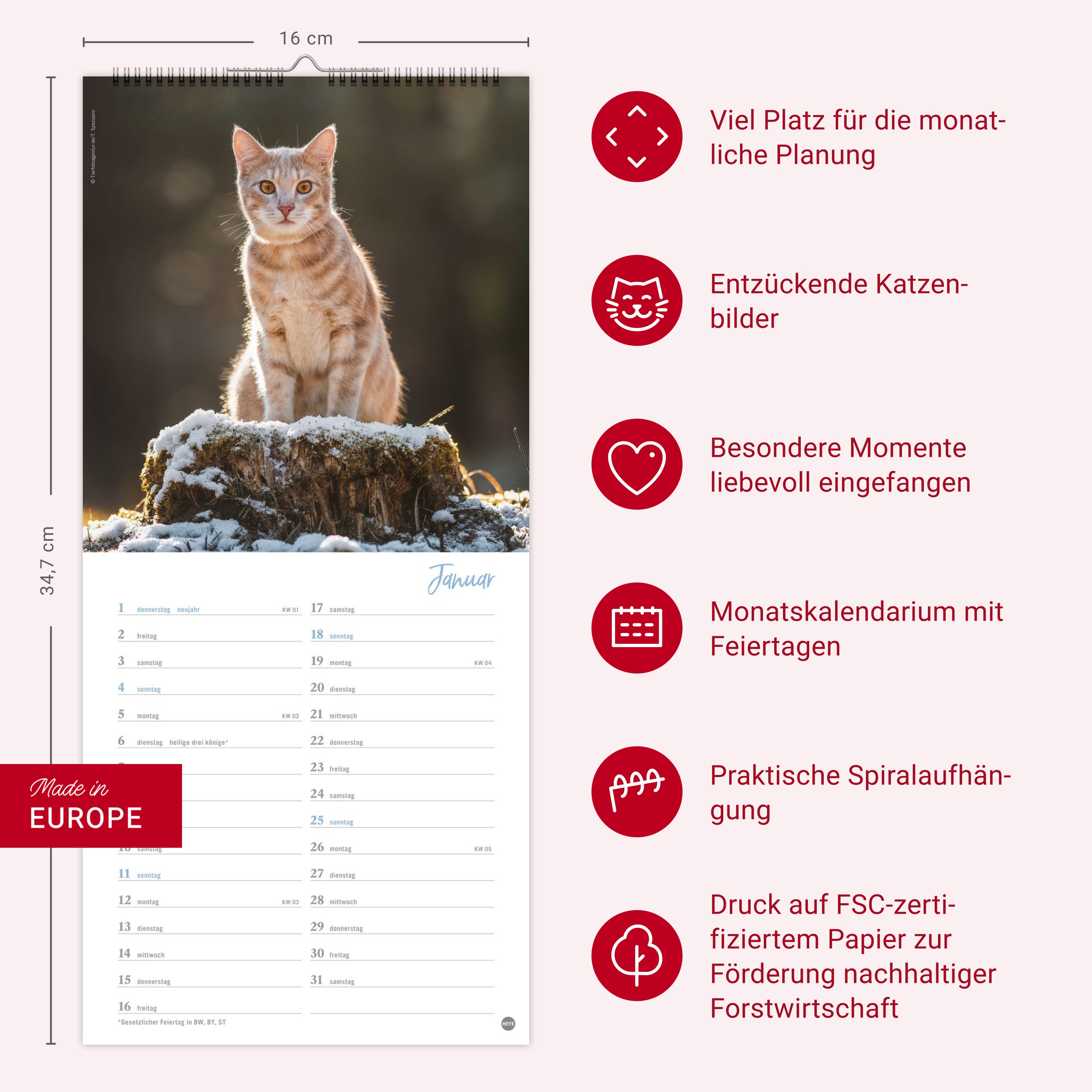 9783756409778_innenansicht_13 9783756409778_innenansicht_13.jpg