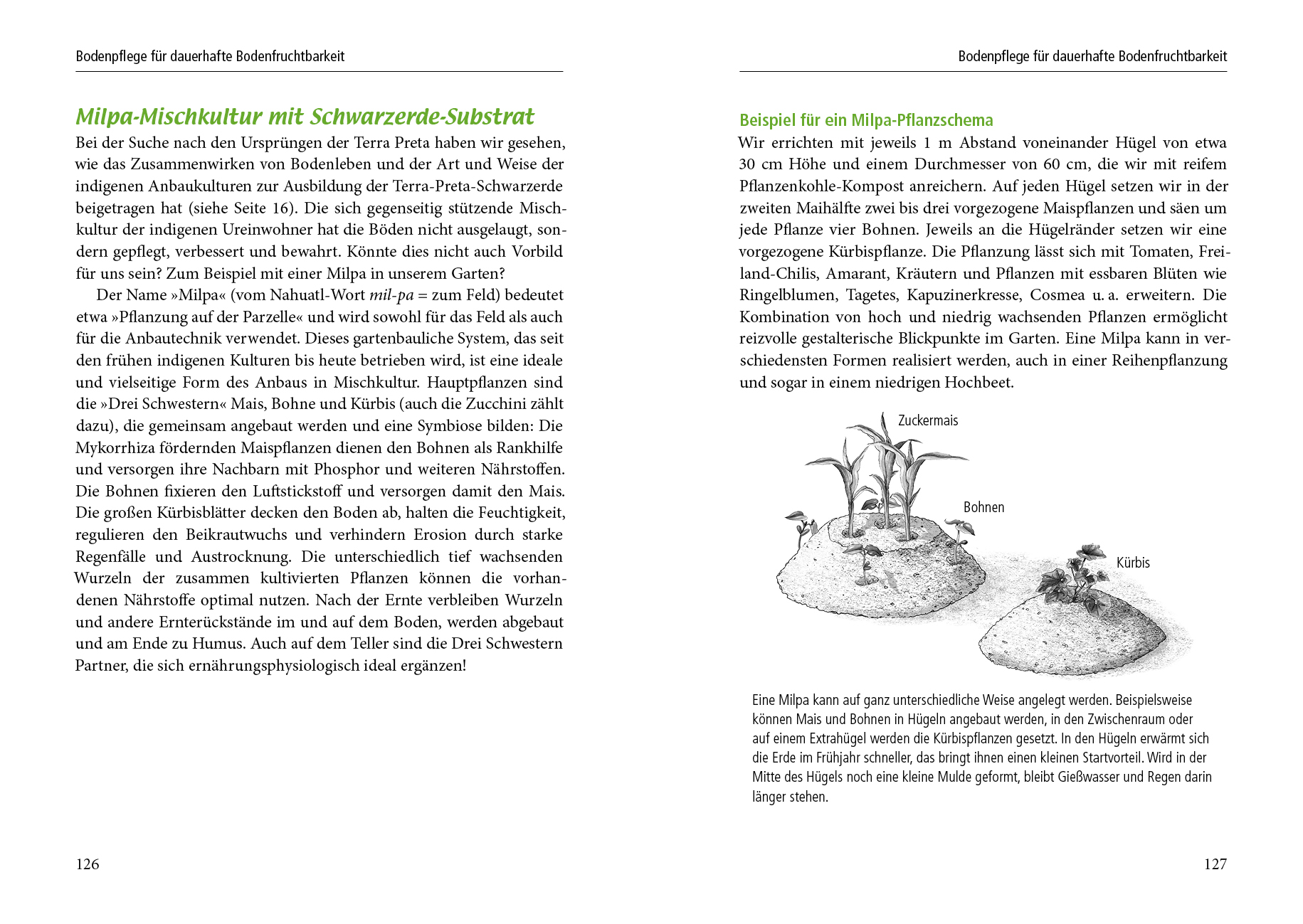 9783895663765_innenansicht_03 9783895663765_innenansicht_03.jpg