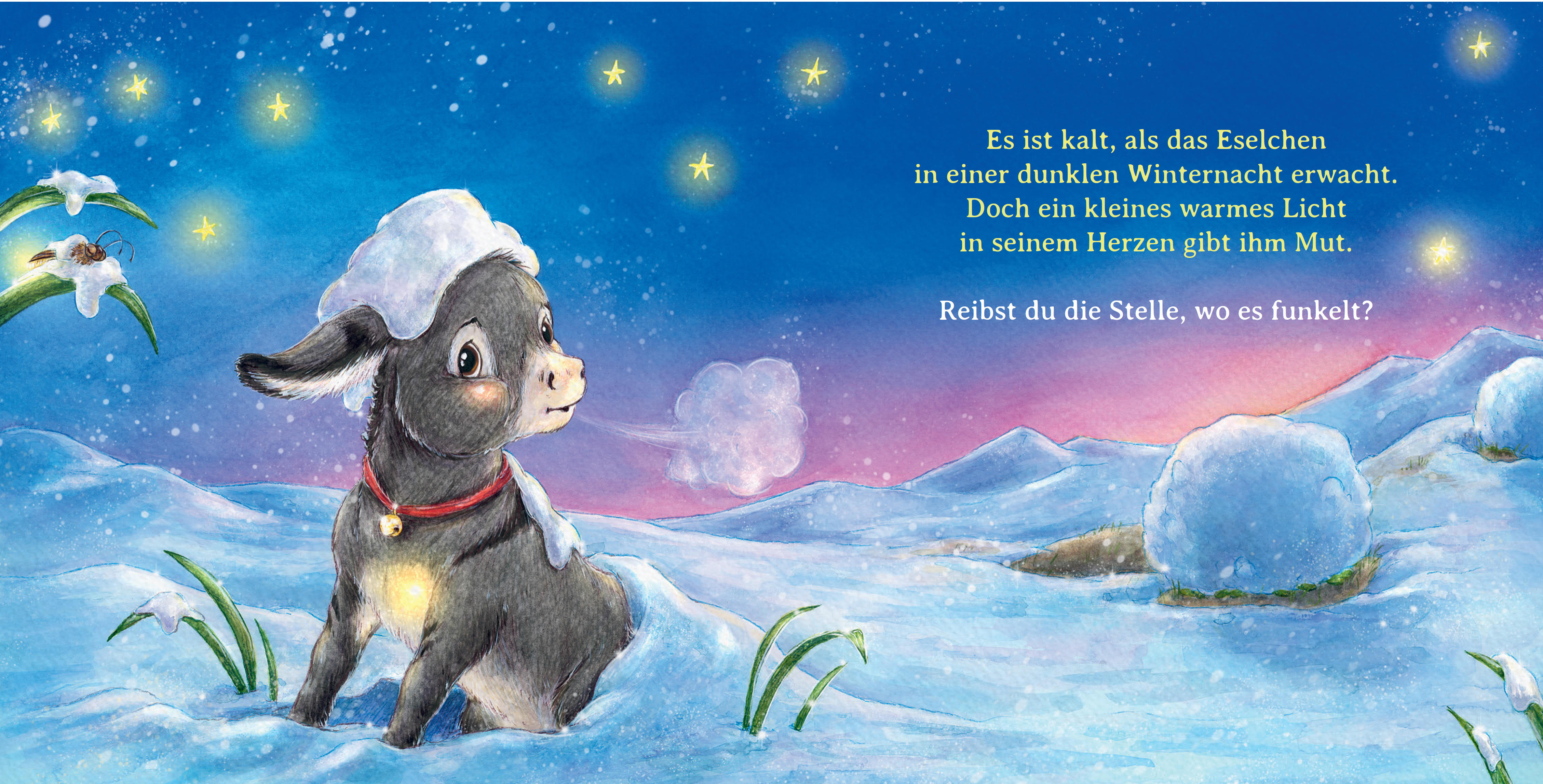 9783833910470_innenansicht_04.jpg