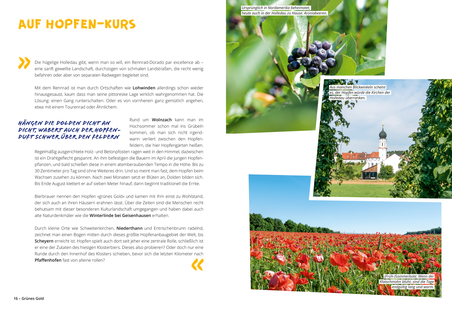 9783616031996_innenansicht_05 9783616031996_innenansicht_05.jpg