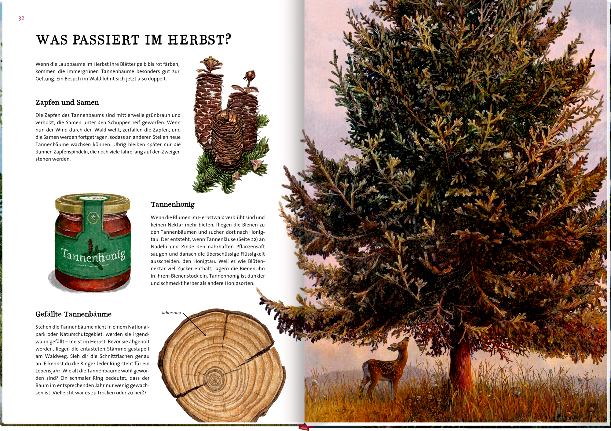 9783649647973_innenansicht_05 9783649647973_innenansicht_05.jpg