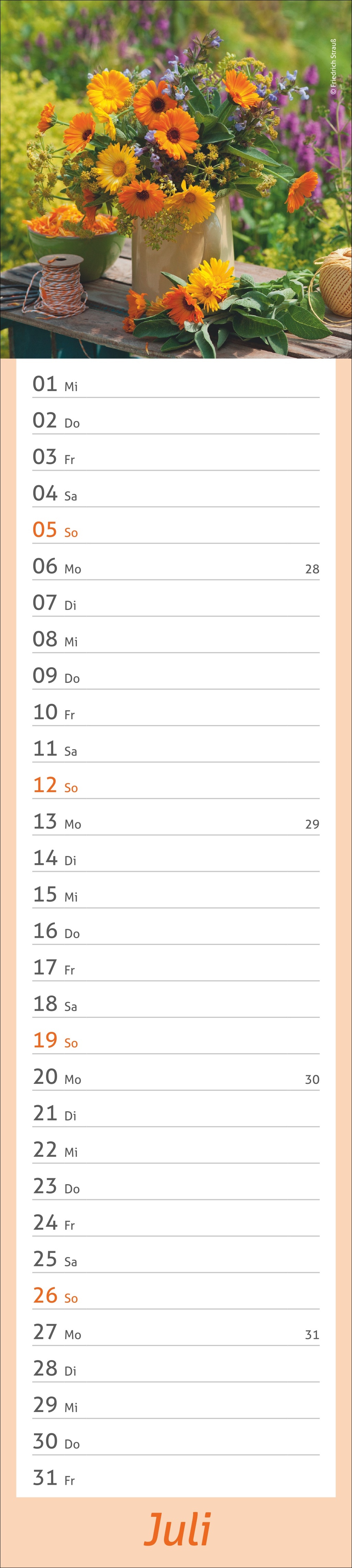 9783756412921_innenansicht_07.jpg