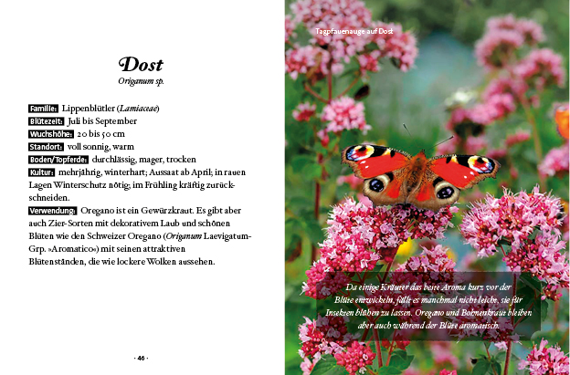 9783710402715_innenansicht_05.jpg 9783710402715_innenansicht_05.jpg