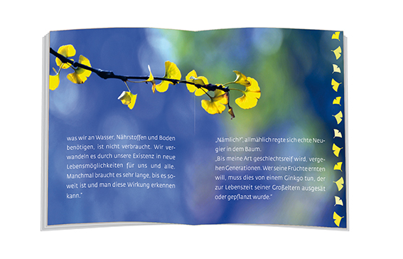 9783869178912_innenansicht_01 9783869178912_innenansicht_01.jpg