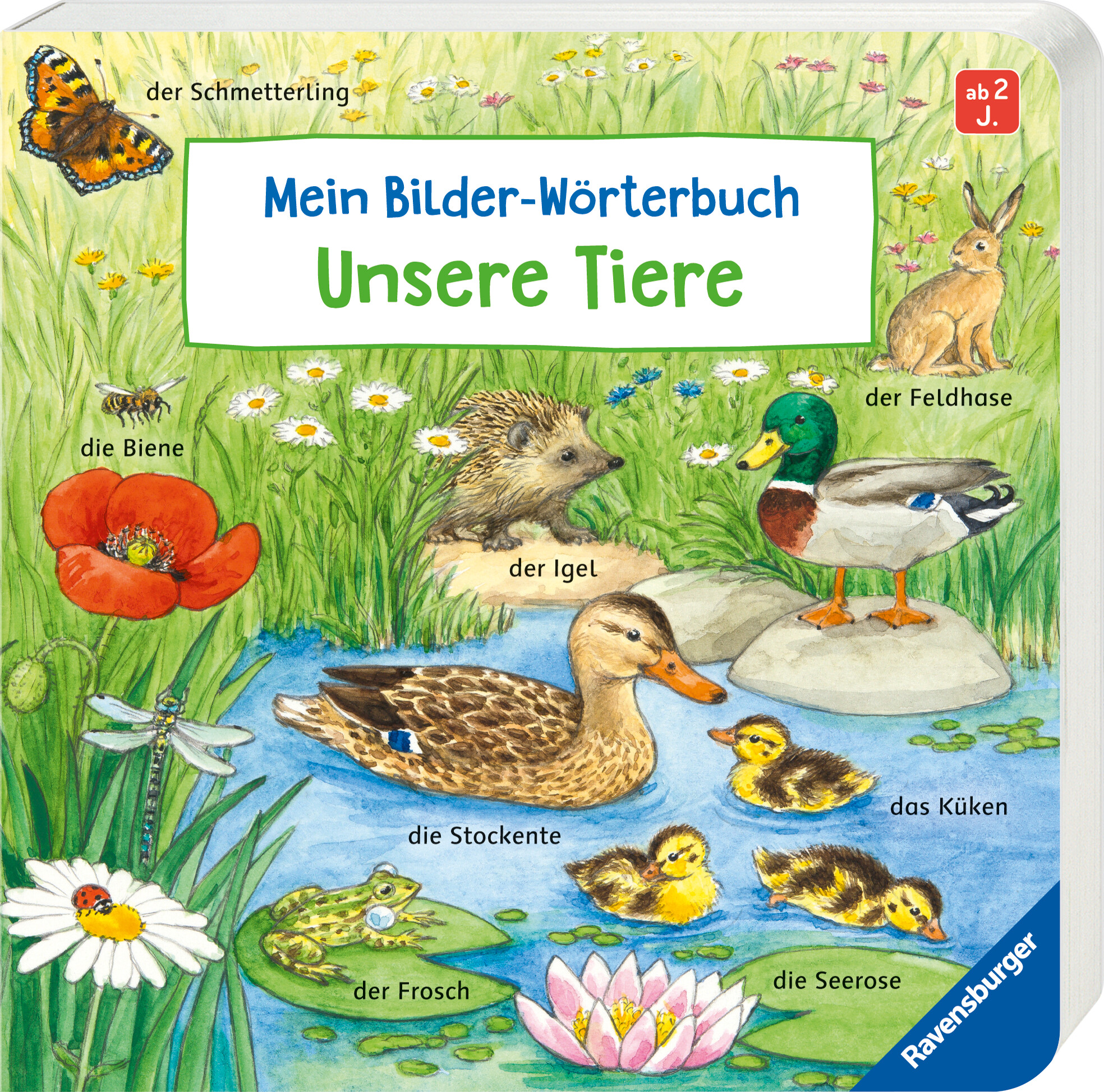 9783473419173_produktbild_01.jpg