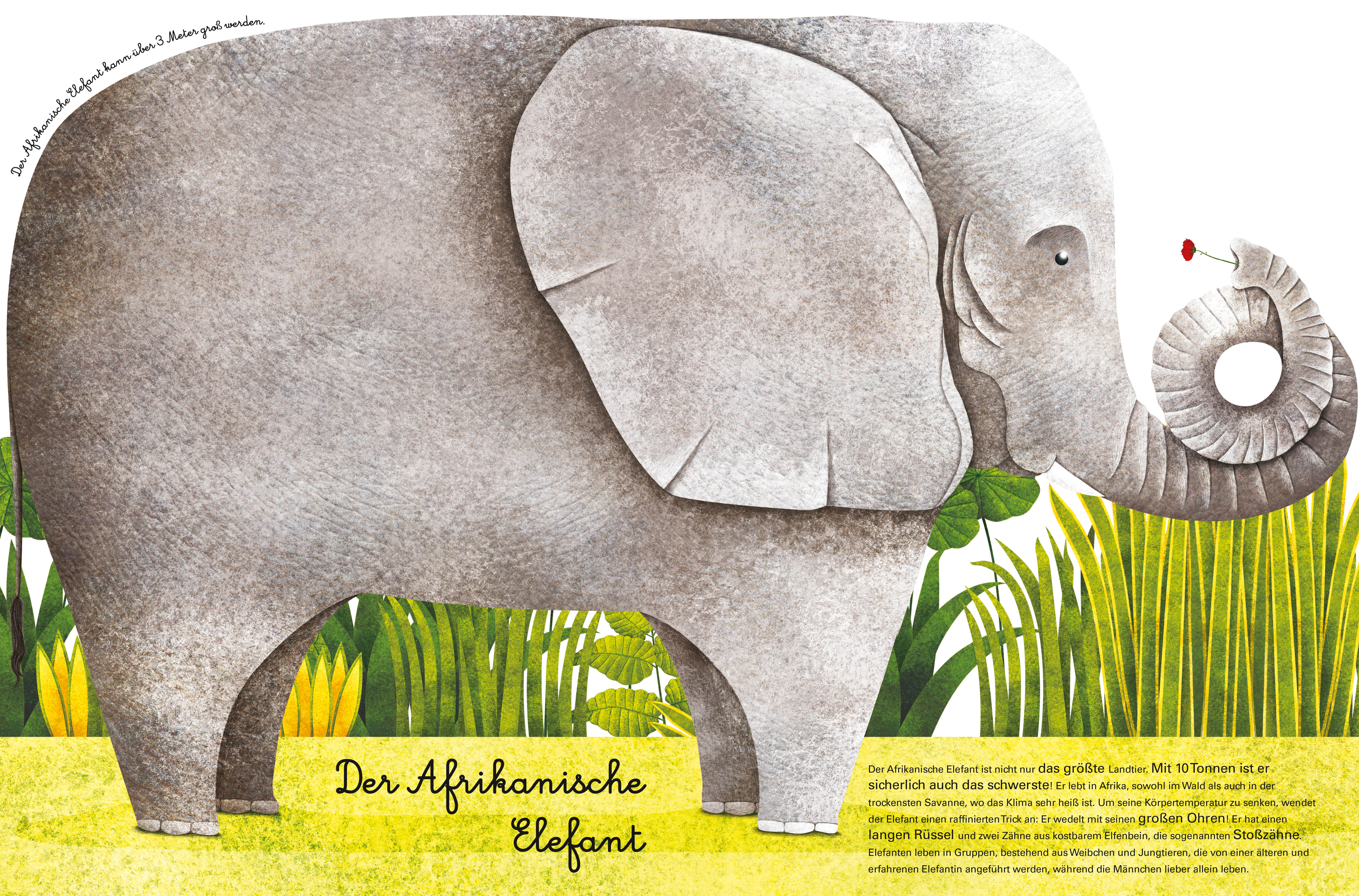 9788863125597_innenansicht_02 9788863125597_innenansicht_02.jpg