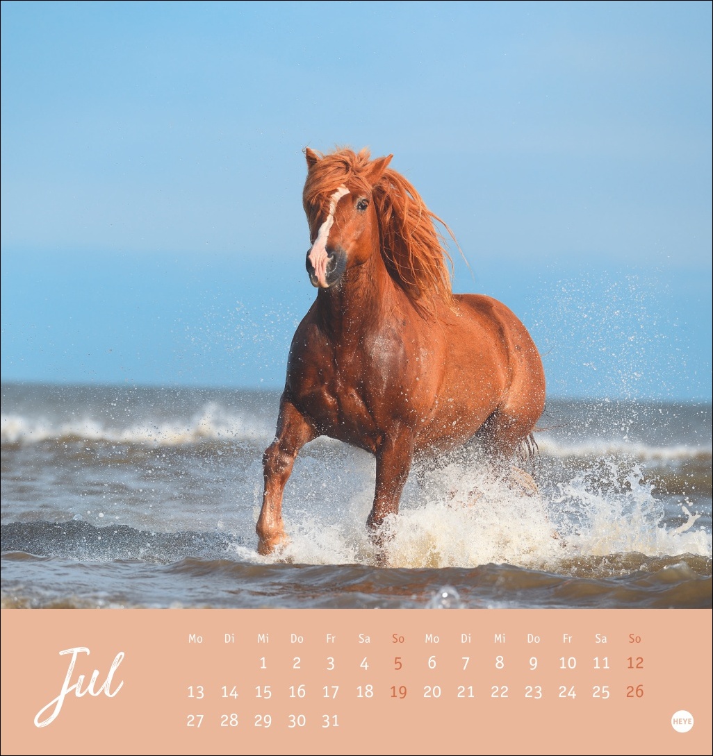 9783756410477_innenansicht_07 9783756410477_innenansicht_07.jpg