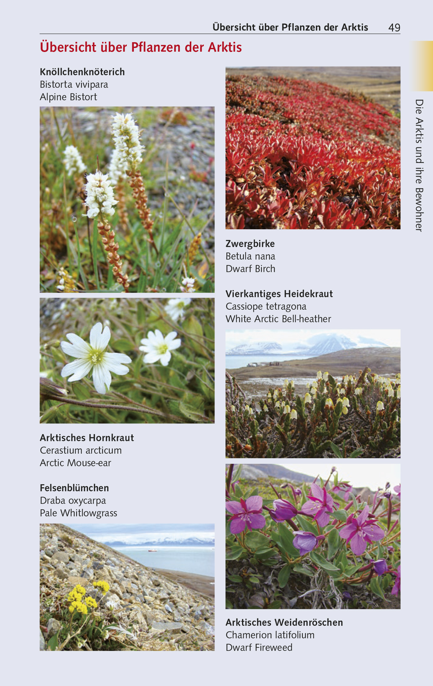 9783897946378_innenansicht_17 9783897946378_innenansicht_17.jpg