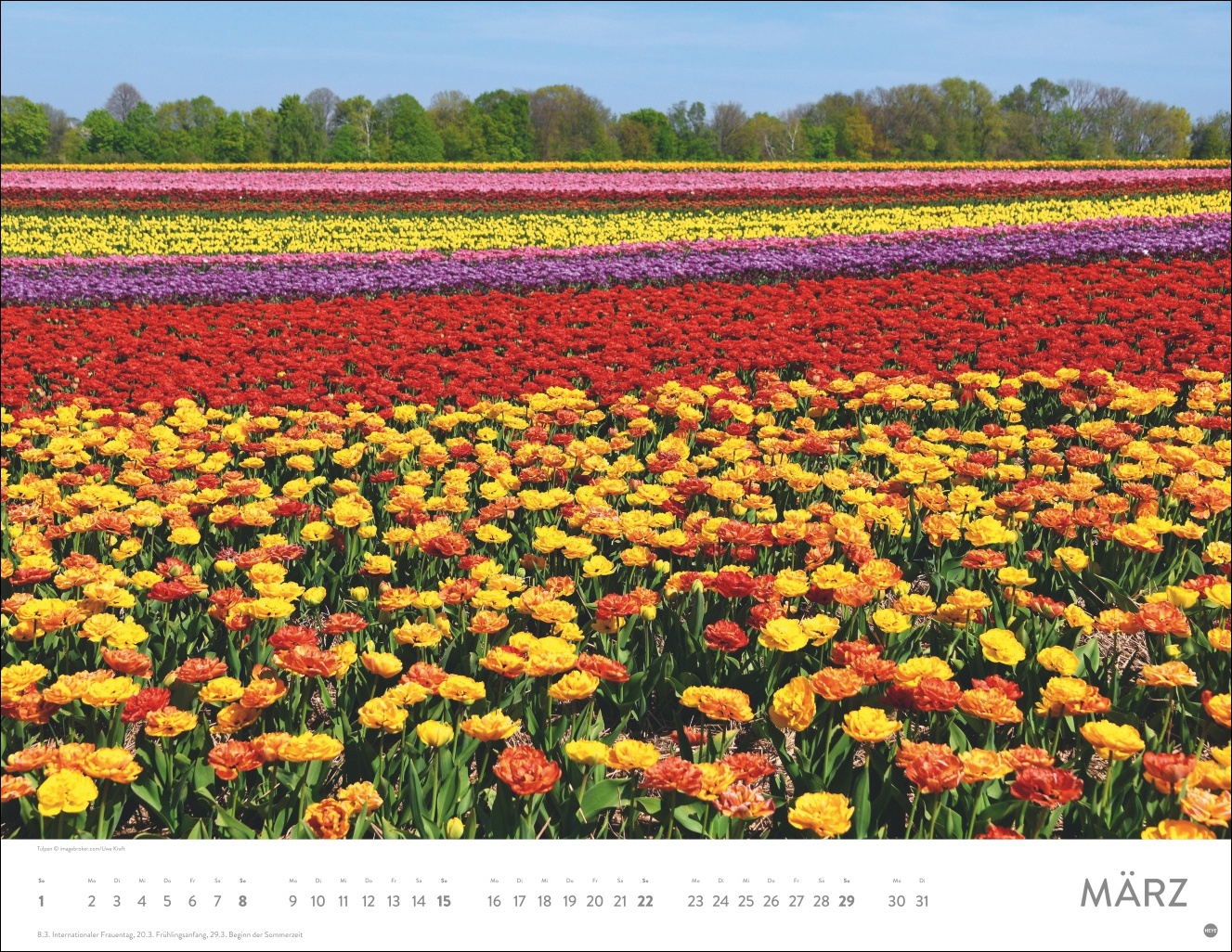 9783756414116_innenansicht_03 9783756414116_innenansicht_03.jpg