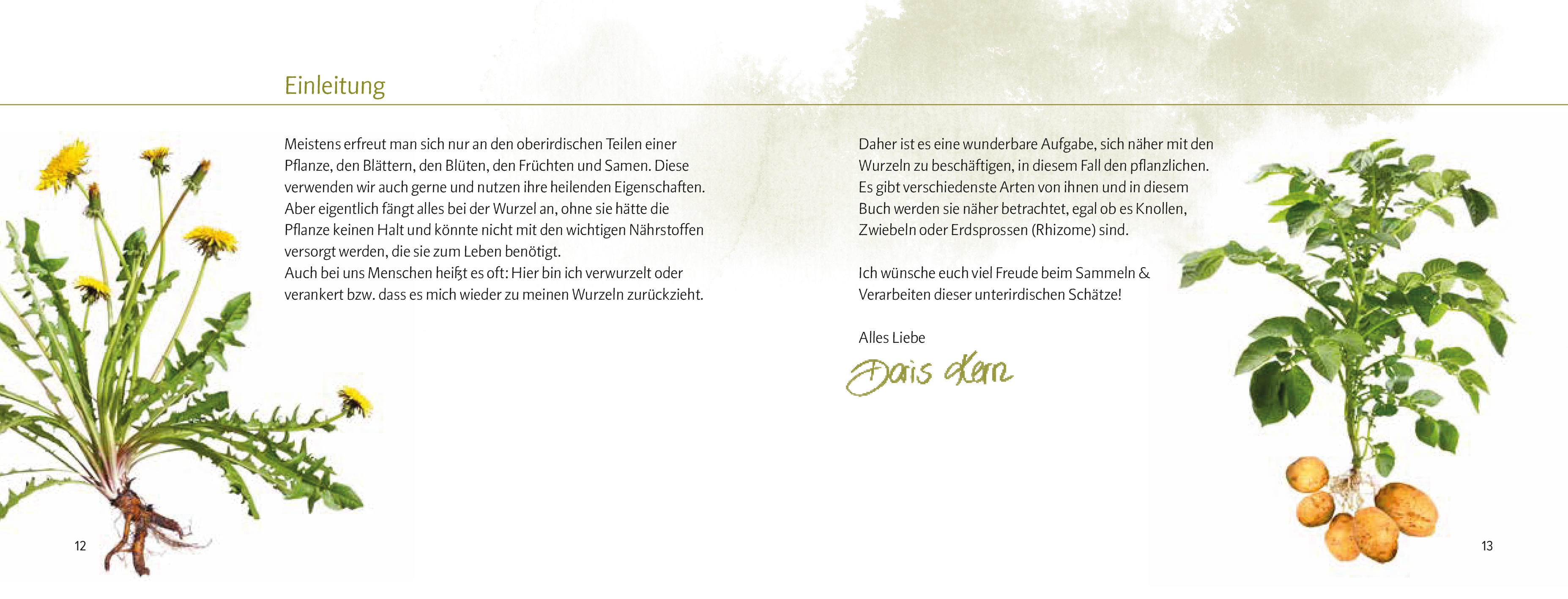 9783702511296_innenansicht_05 9783702511296_innenansicht_05.jpg