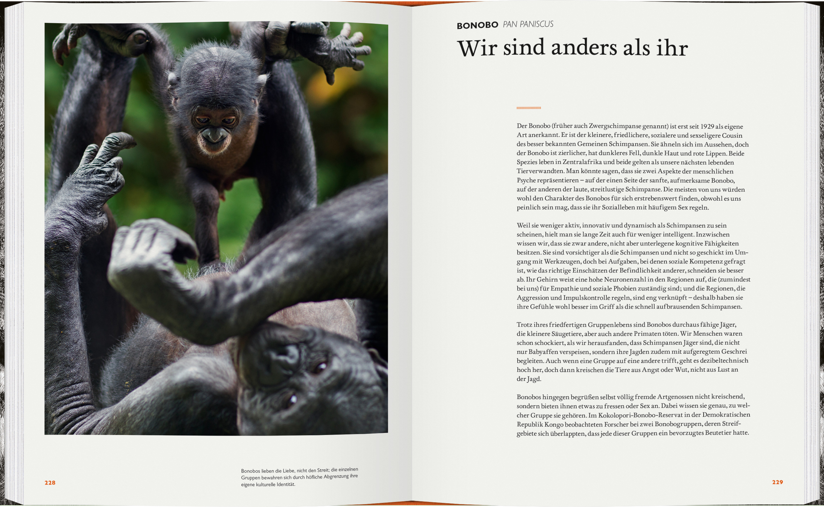 9783836922029_innenansicht_02.jpg