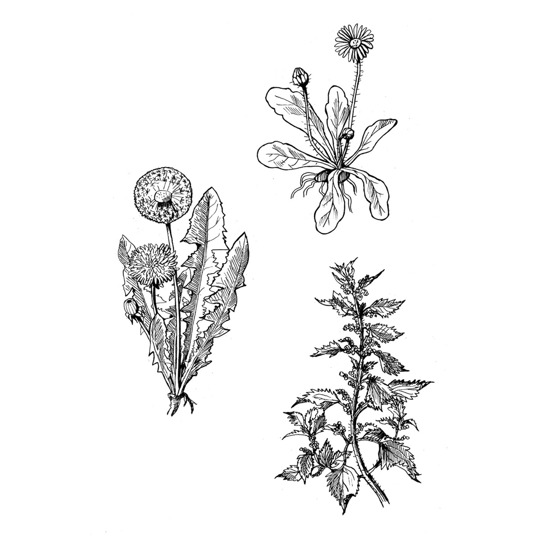 9783735881175_innenansicht_01 9783735881175_innenansicht_01.jpg