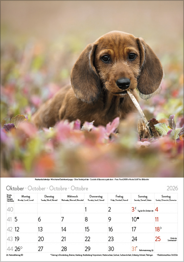 9783731883616_innenansicht_10 9783731883616_innenansicht_10.jpg