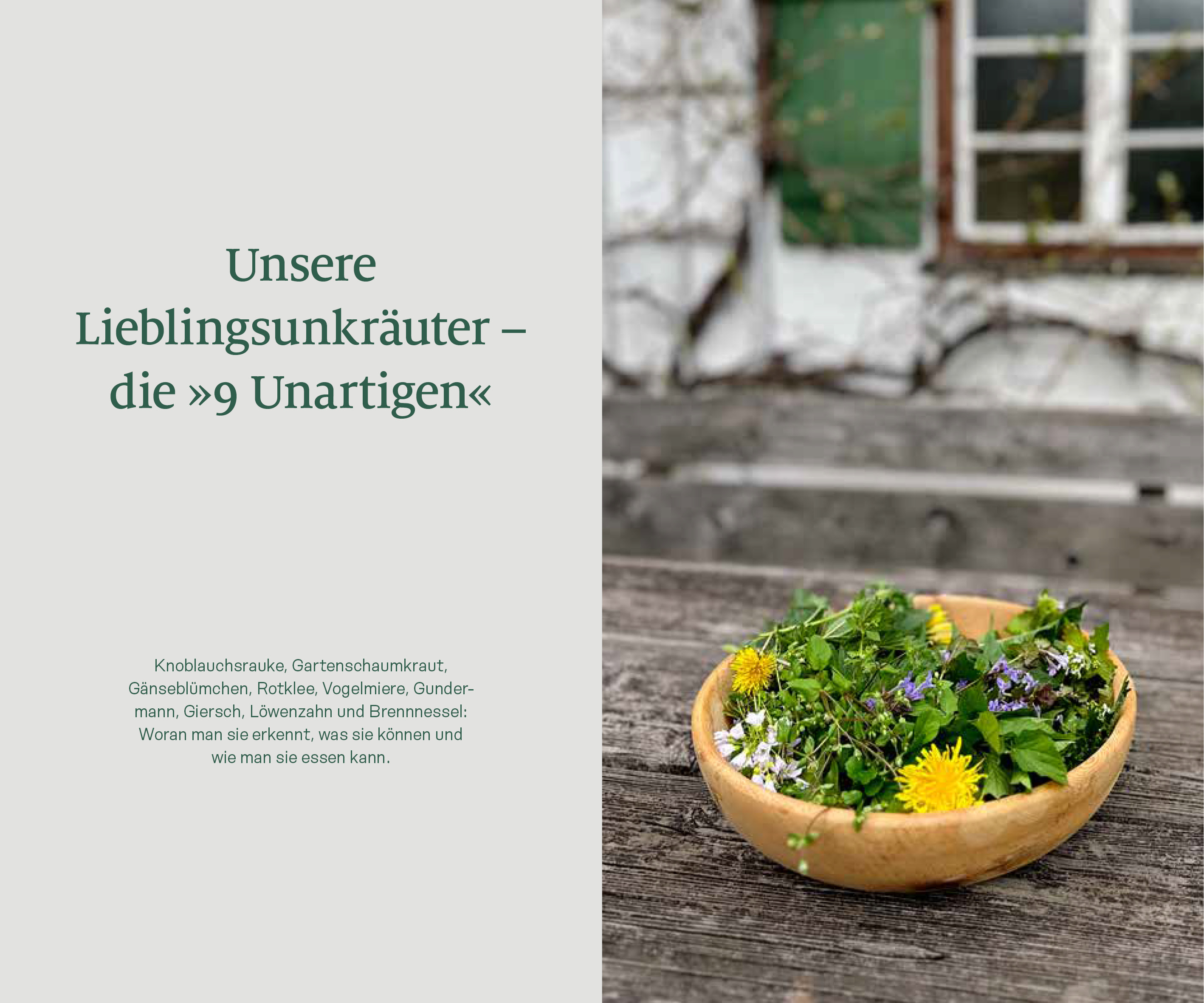 9783710403415_innenansicht_02.jpg