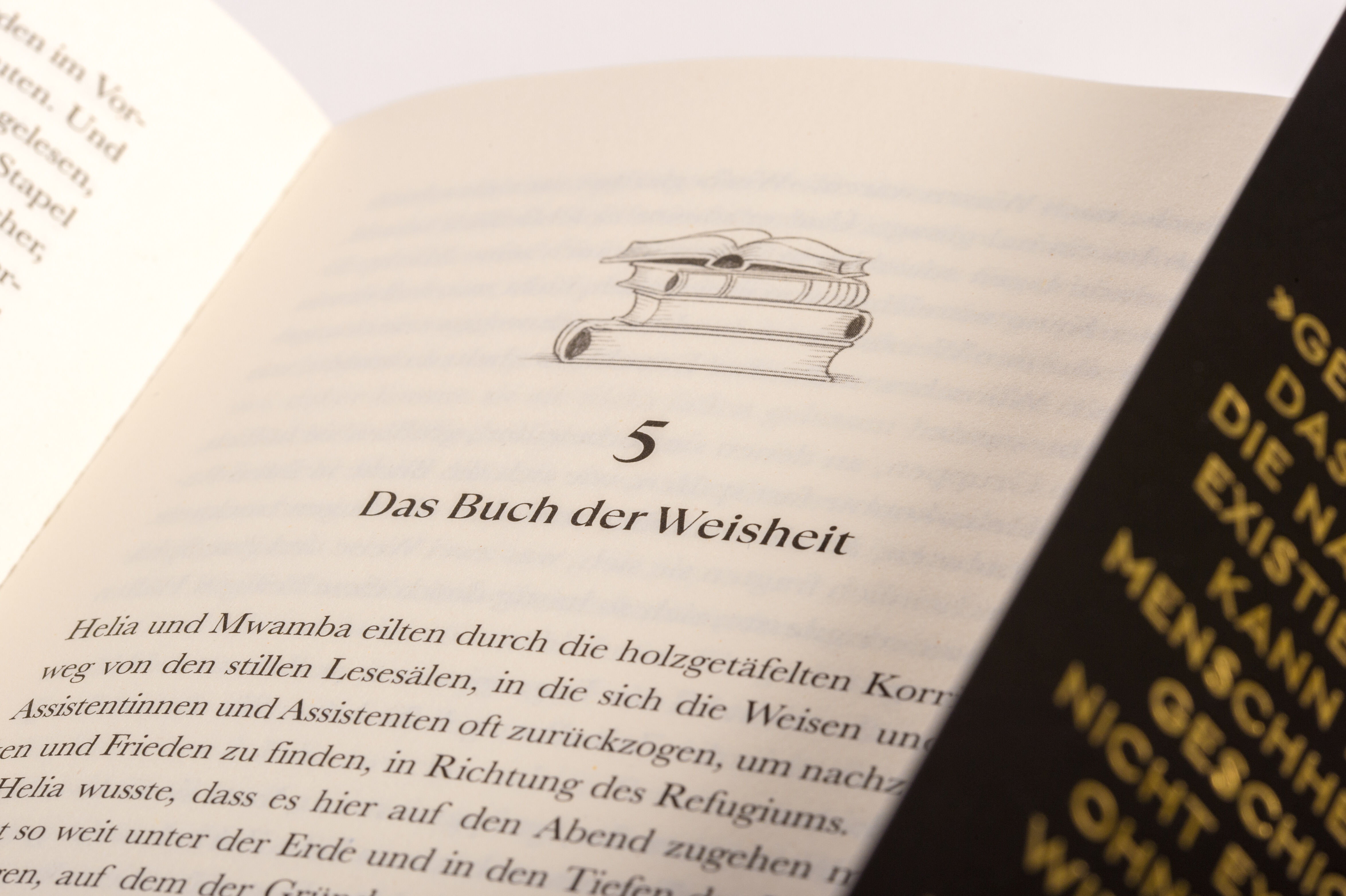 9783764532895_innenansicht_03.jpg