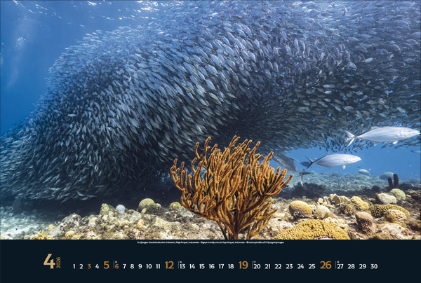 9783731888161_innenansicht_04 9783731888161_innenansicht_04.jpg