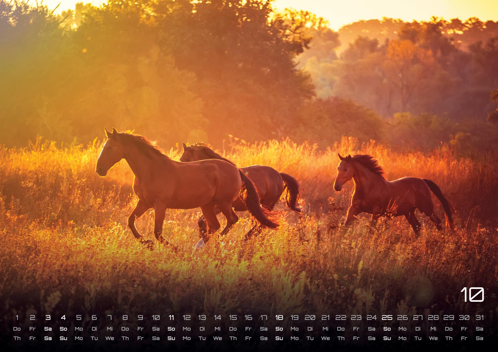 9783986735647_innenansicht_10 9783986735647_innenansicht_10.jpg