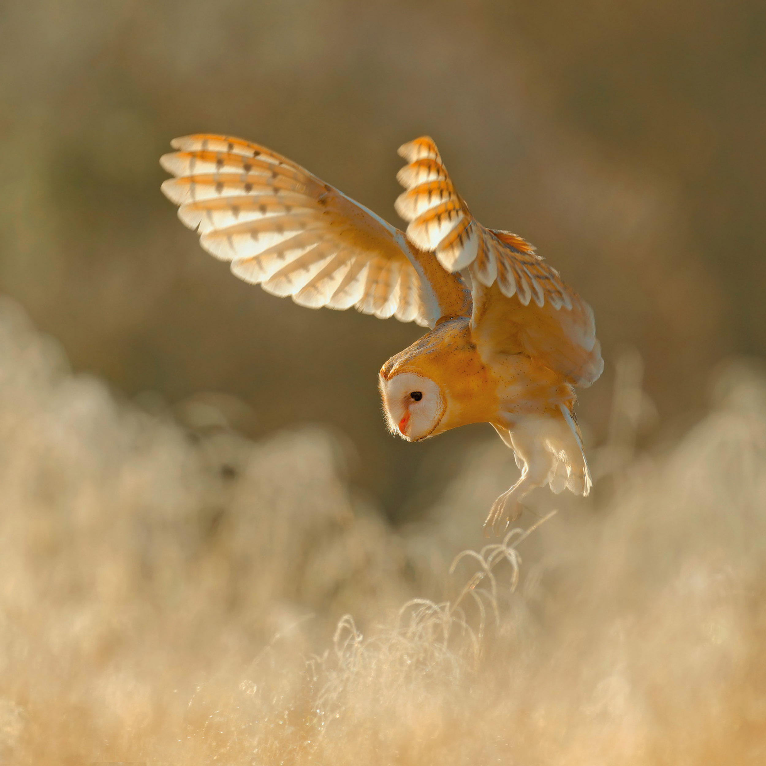 9783959295208_innenansicht_08 9783959295208_innenansicht_08.jpg