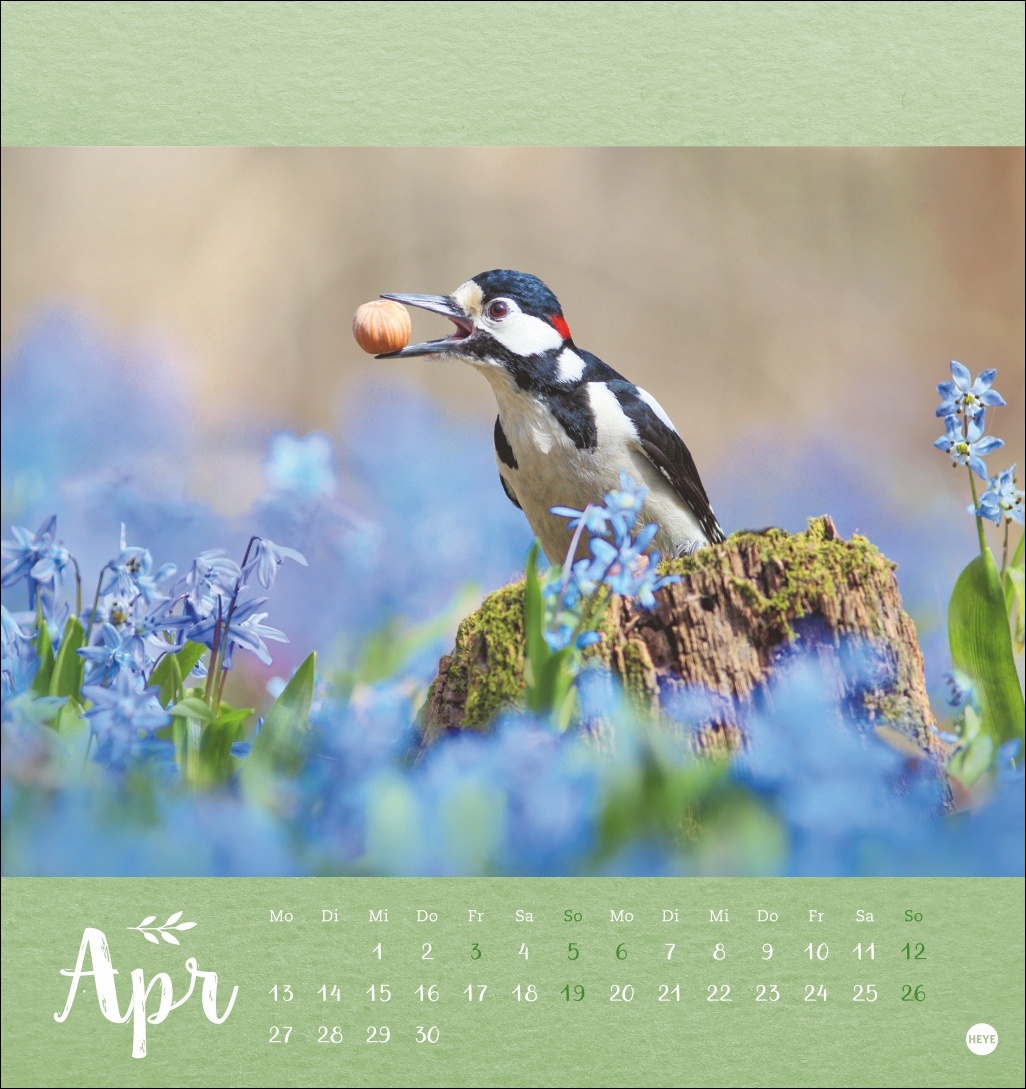 9783756411689_innenansicht_04 9783756411689_innenansicht_04.jpg