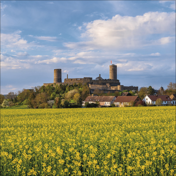 9783731886532_innenansicht_04.jpg