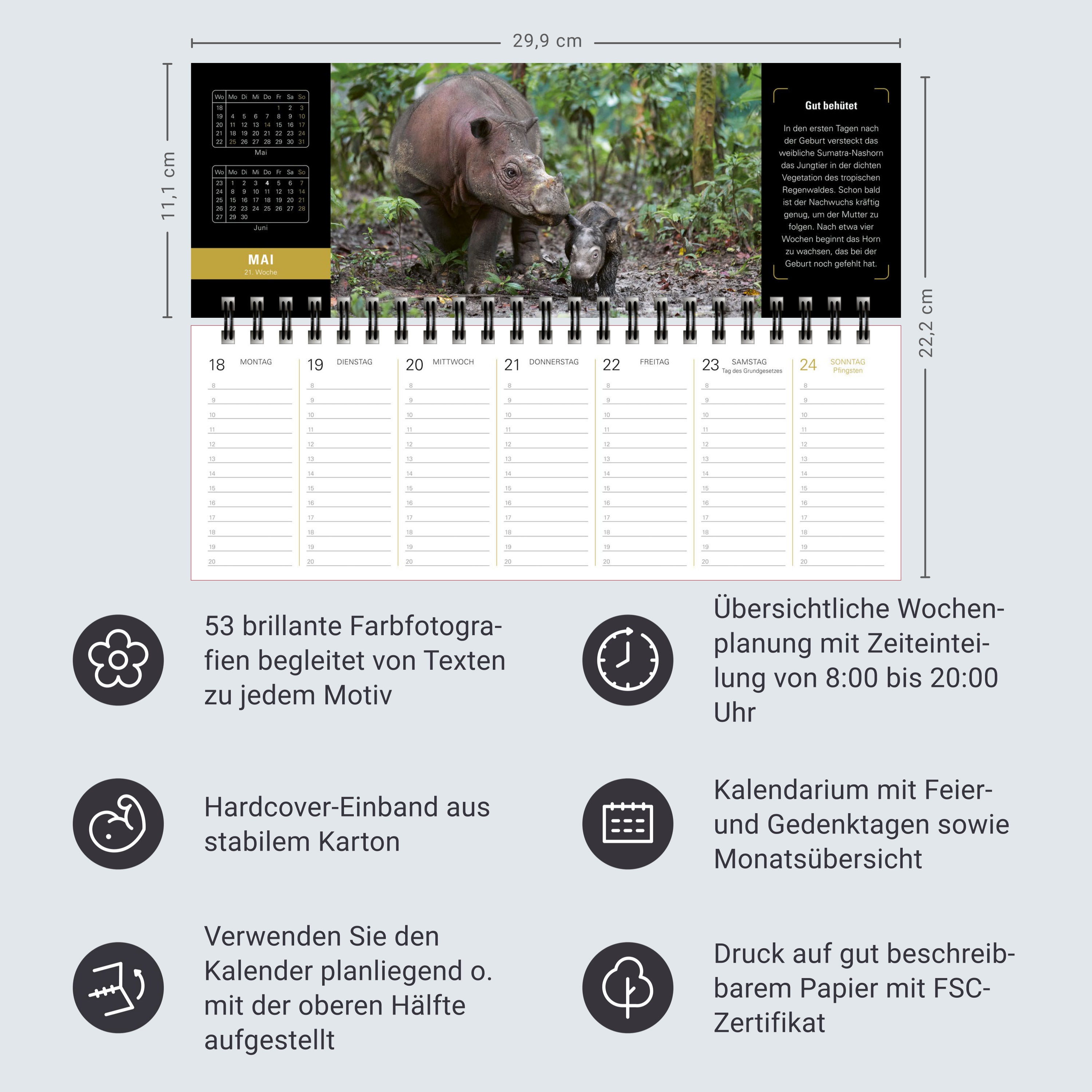 9783840036828_innenansicht_13.jpg