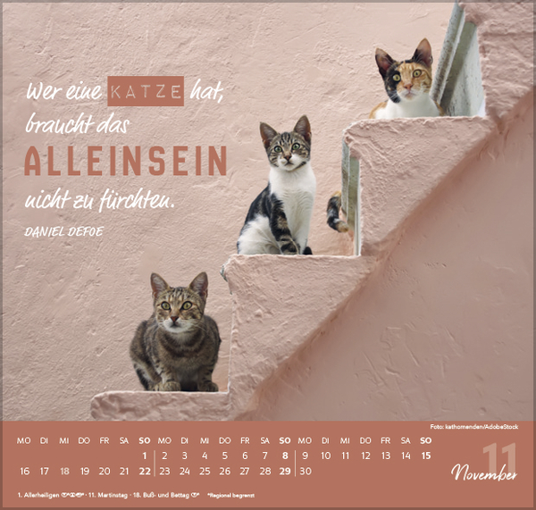 9783731888482_innenansicht_11.jpg