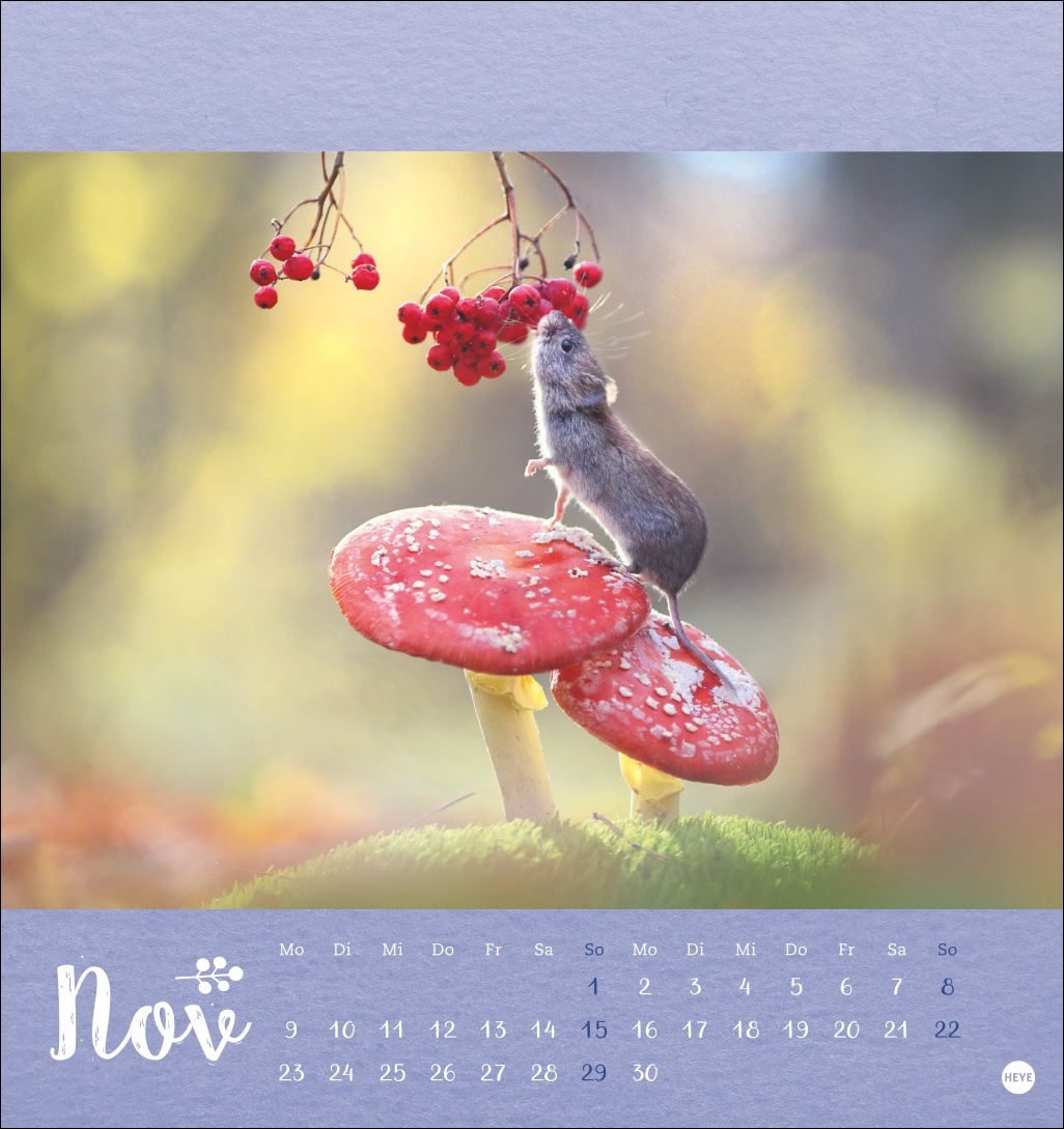 9783756411689_innenansicht_11 9783756411689_innenansicht_11.jpg