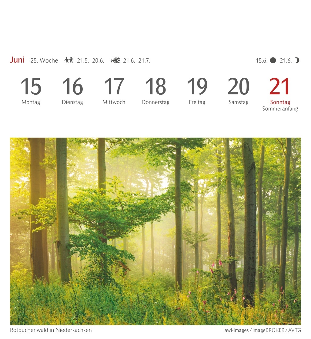 9783840035715_innenansicht_06.jpg