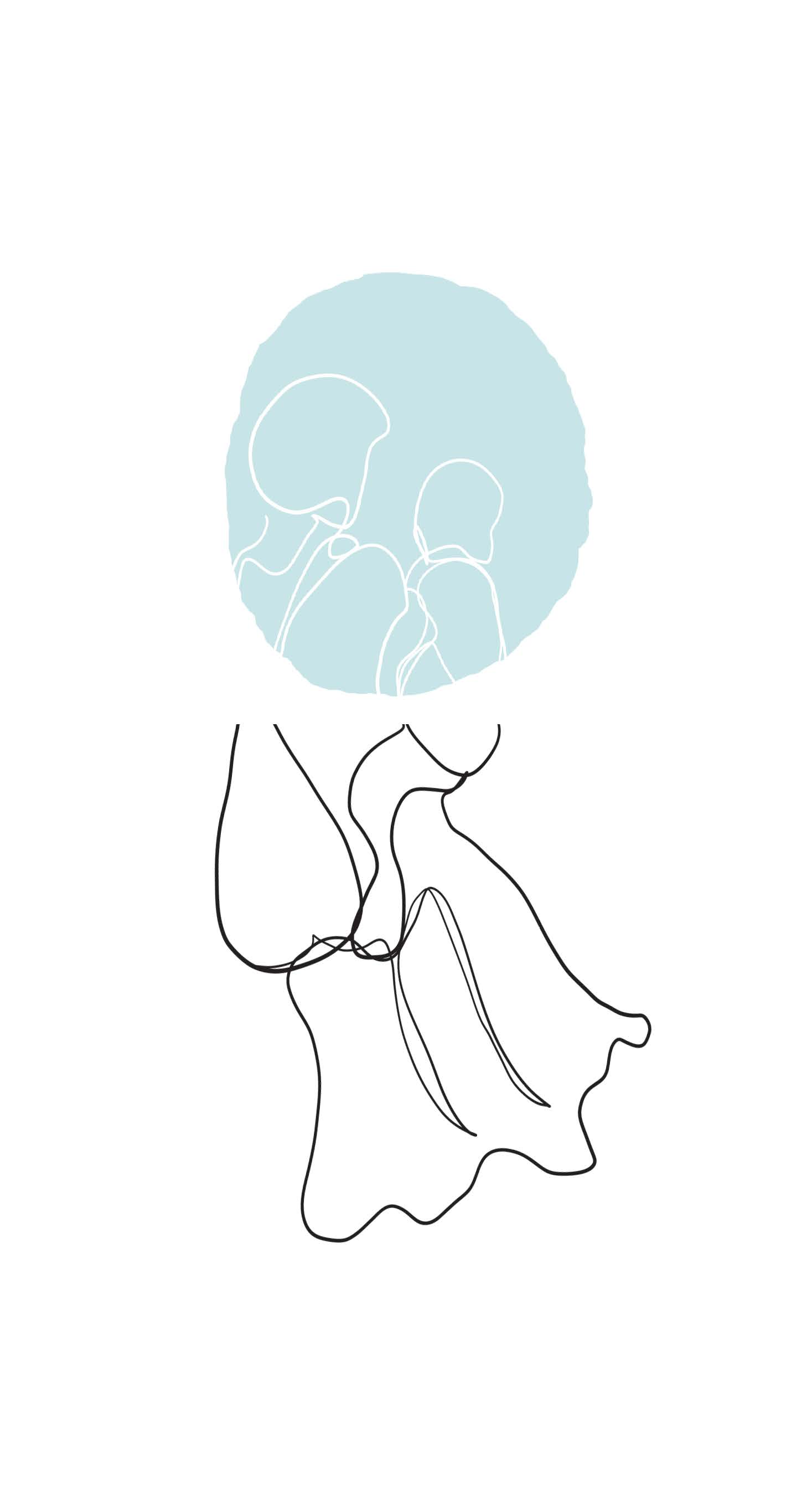 9783990604151_innenansicht_06 9783990604151_innenansicht_06.jpg